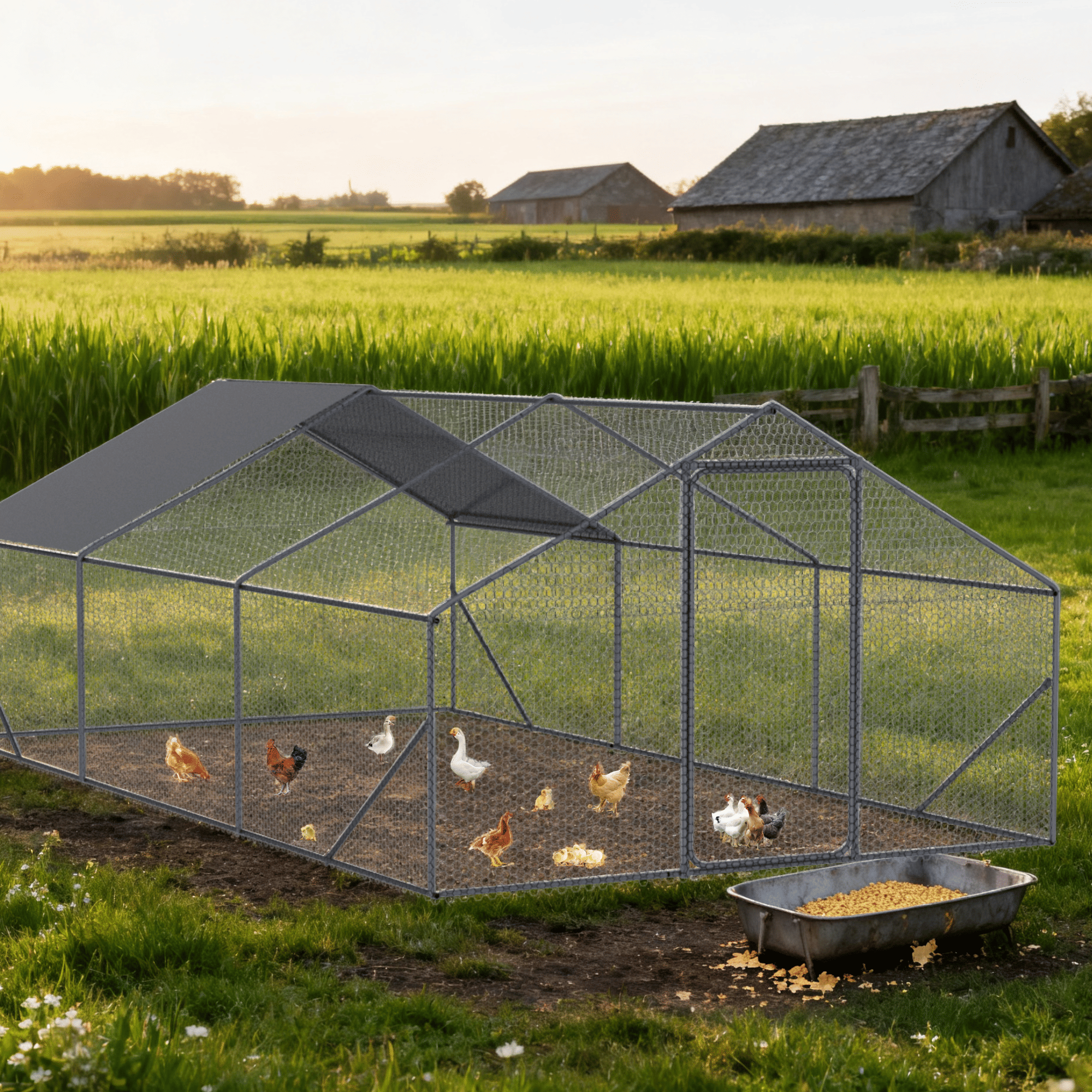 XPT035 Outdoor chicken coop metal big space 20*10*6FT 3 Unit for Outdoor Farm Use