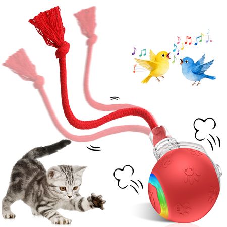 Interactive Cat Ball Toy with LED Lights, Bird Chirping, and Motion Activation