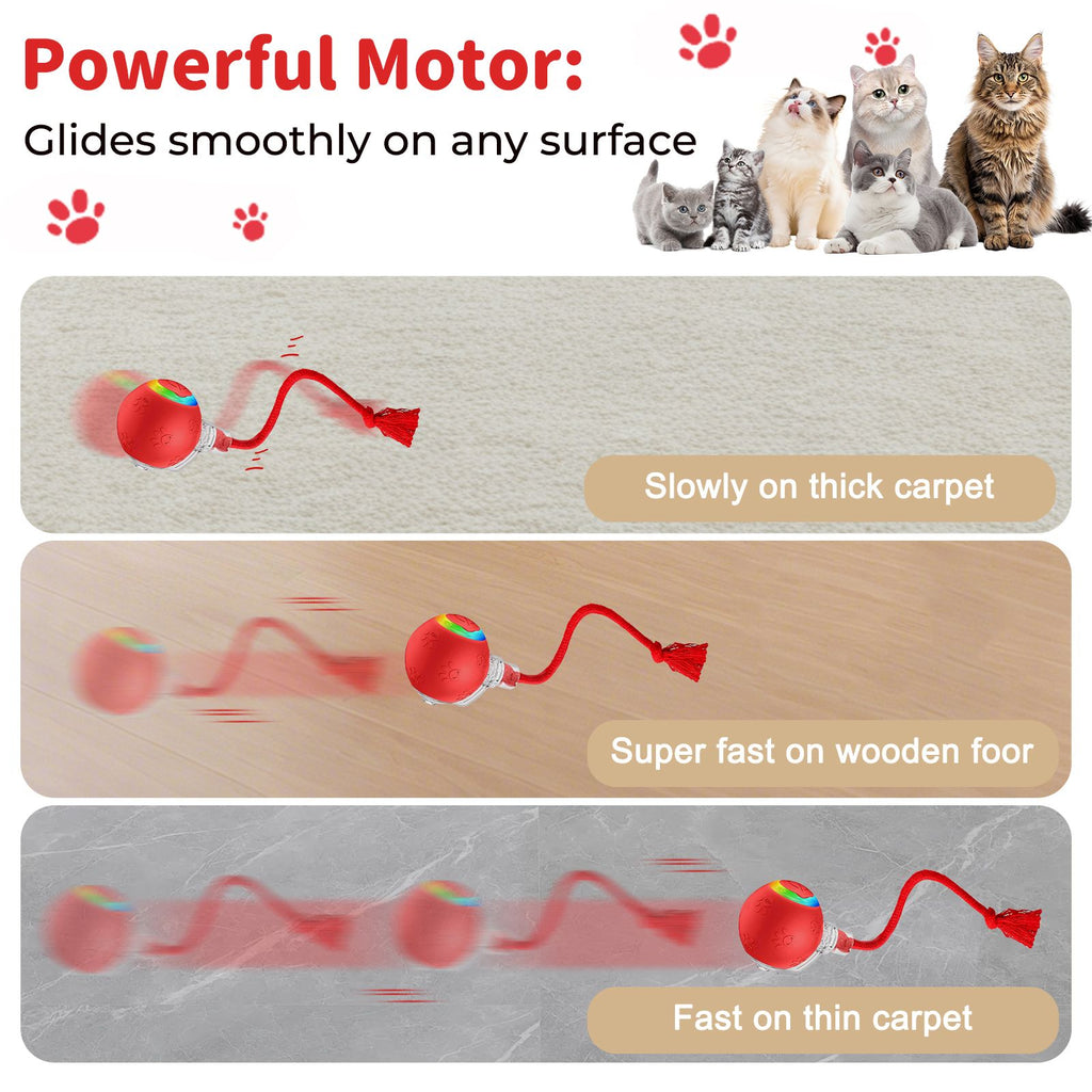 Interactive Cat Ball Toy with LED Lights, Bird Chirping, and Motion Activation
