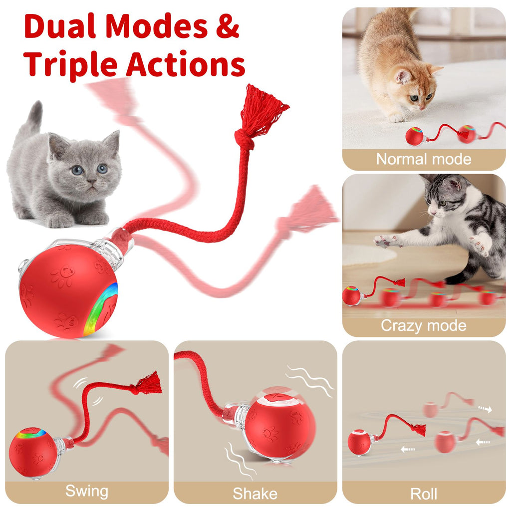 Interactive Cat Ball Toy with LED Lights, Bird Chirping, and Motion Activation