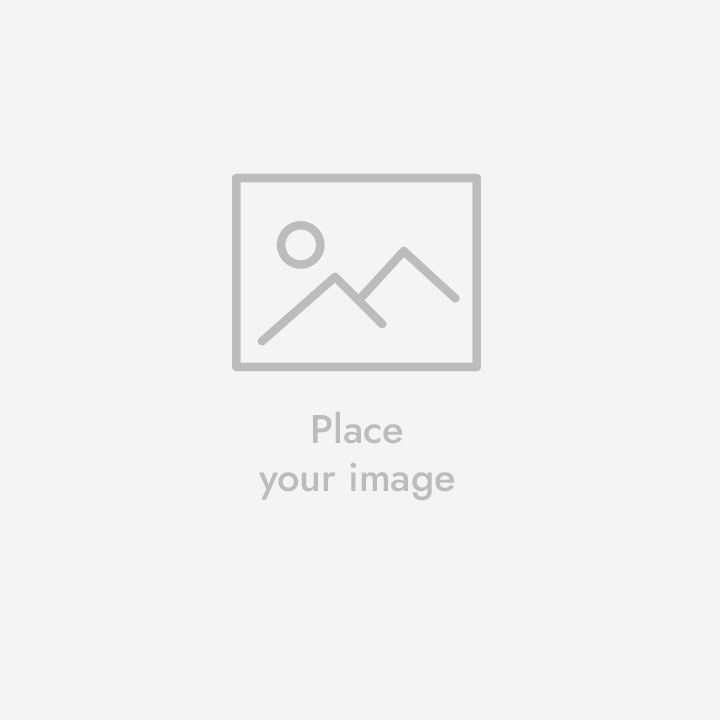 Best Low-Maintenance Pets for Apartments in 2026